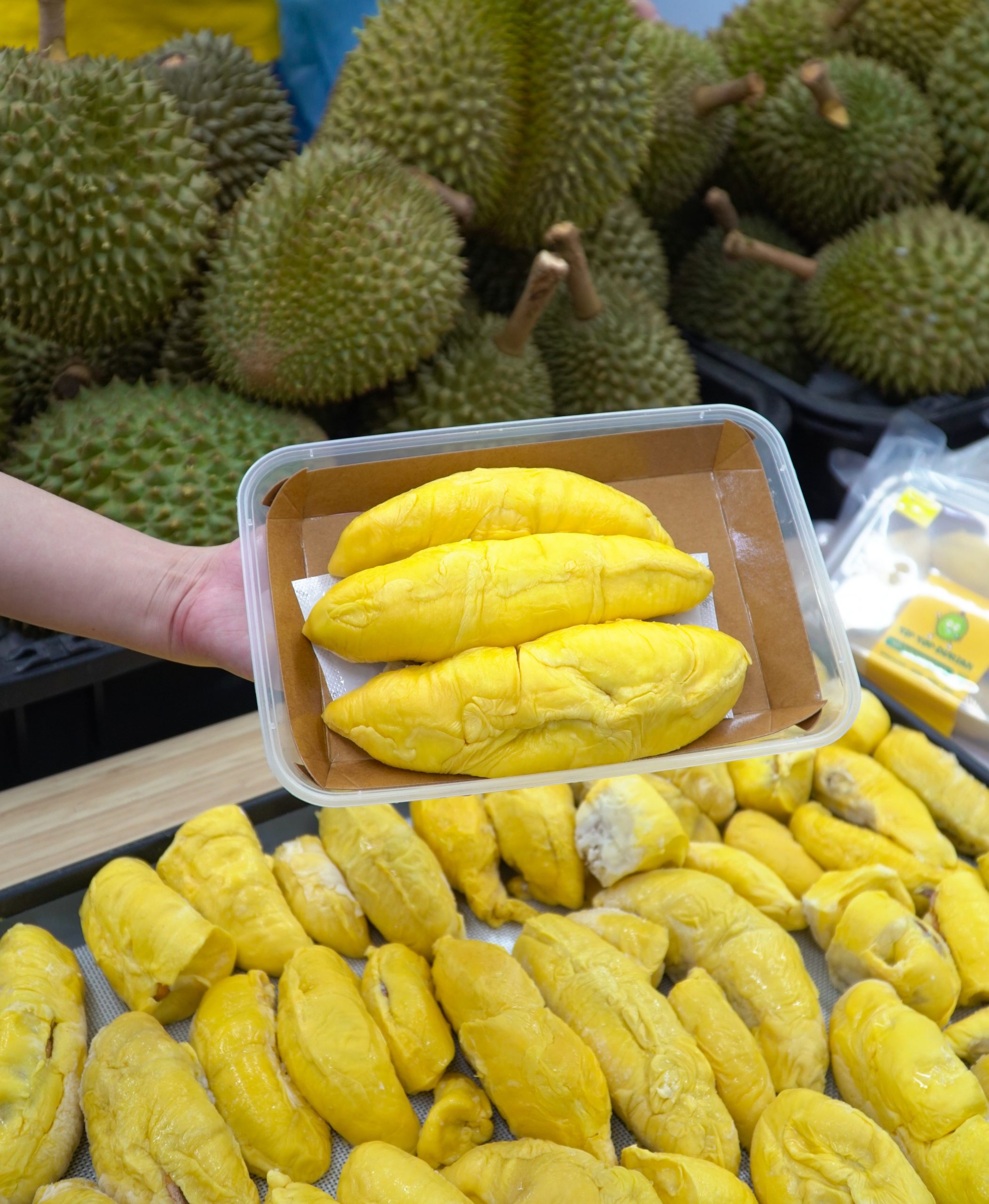 Moodle with a durian flavour. From Malaysia with love.: Chess