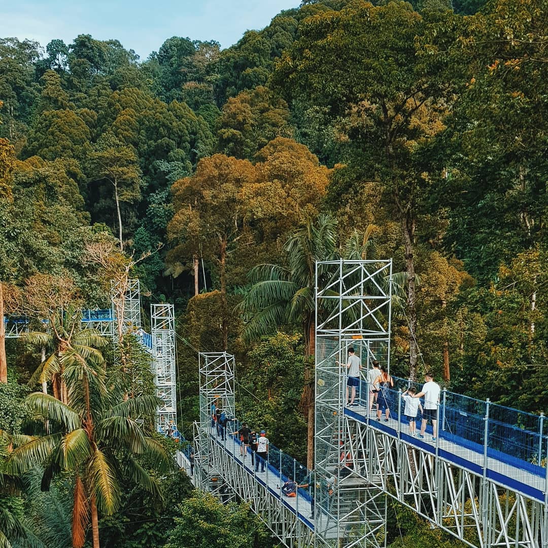 FRIM's Forest Skywalk In KL With Beautiful Panoramic Views Of The City ...