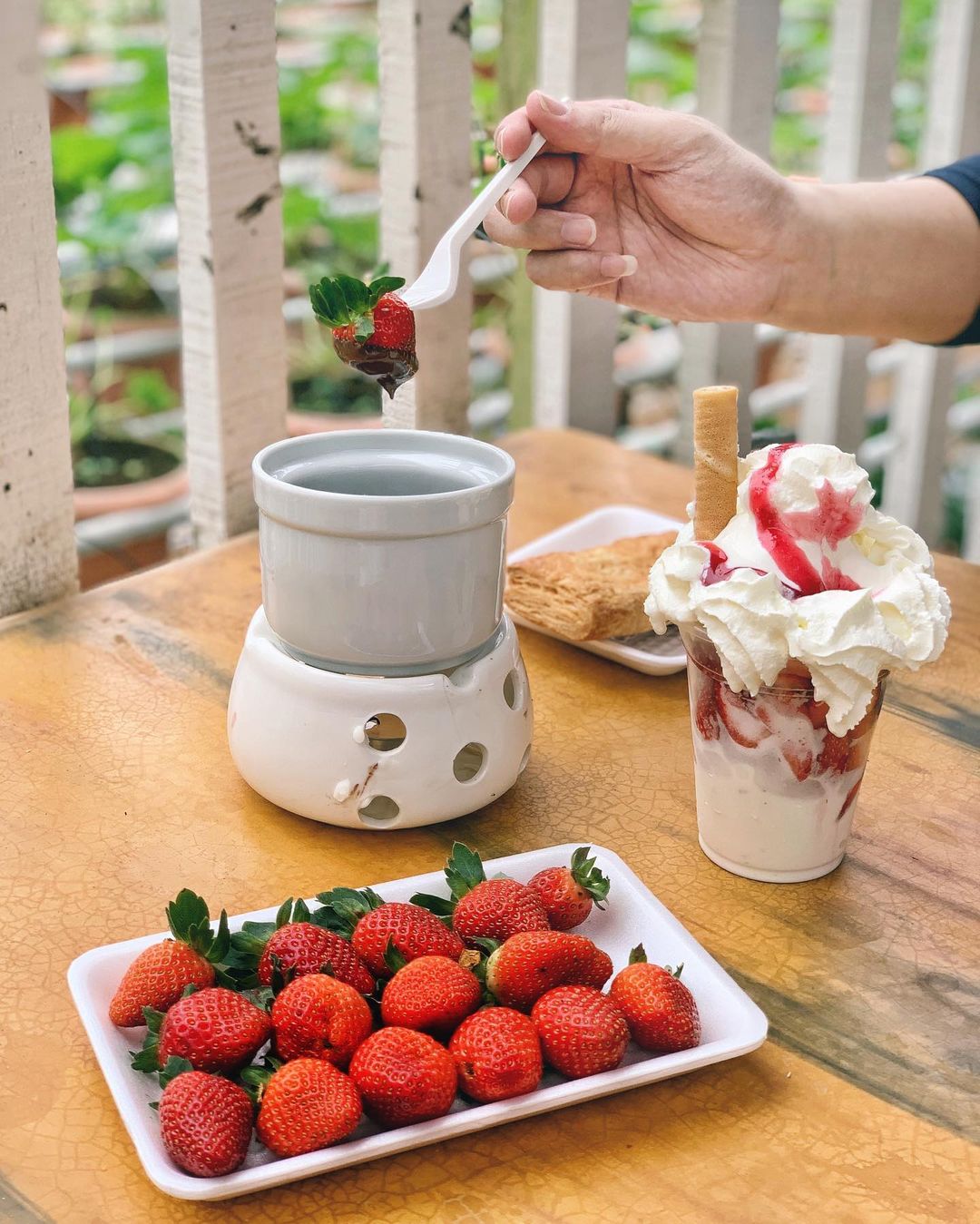 Big Red Strawberry Farm Cameron Highlands